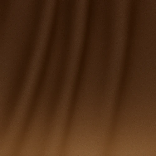 Brown SIlk Curtains
