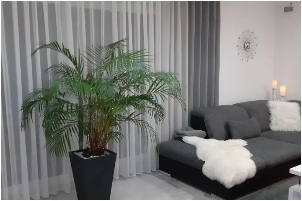 Curtains Abu Dhabi