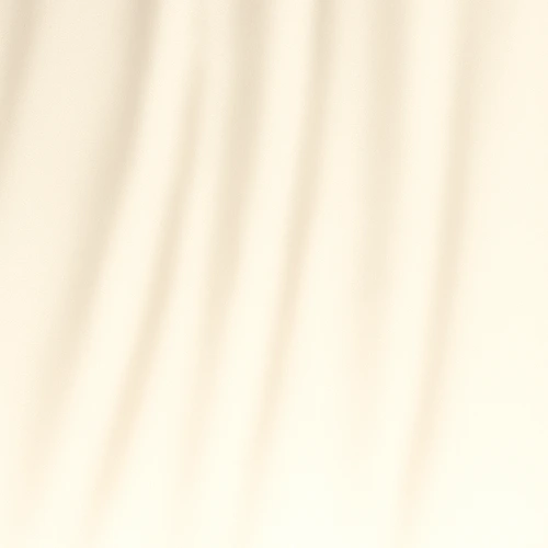 Ivovy SIlk Curtains