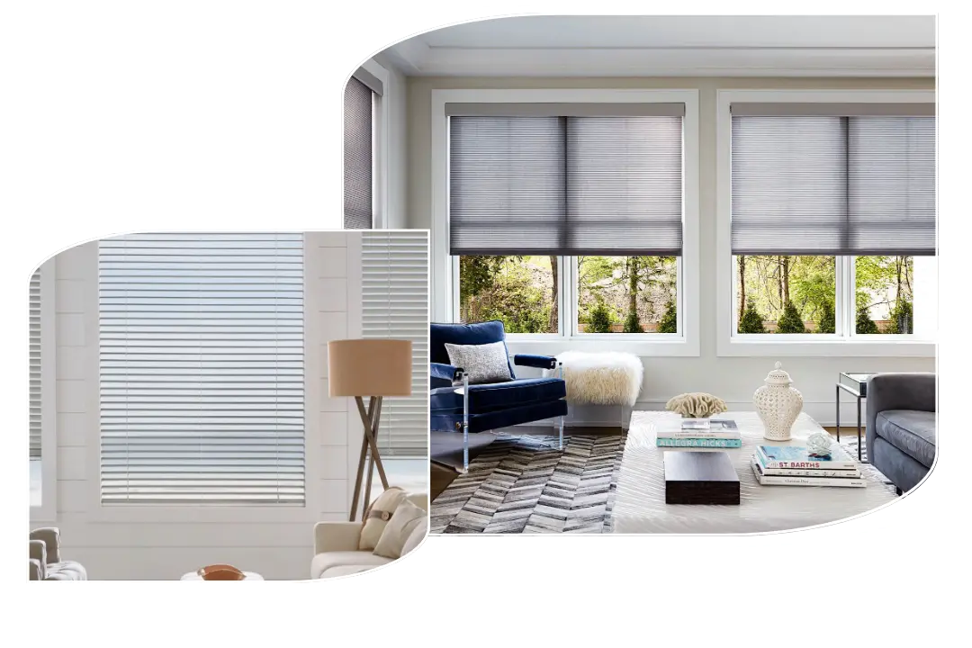 Window Blinds