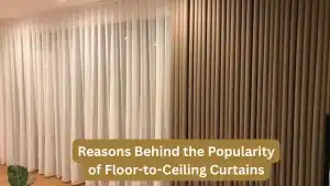 Reasons Behind the Popularity of Floor-to-Ceiling Curtains